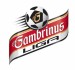 gambrinus_liga_logo_velke[1]